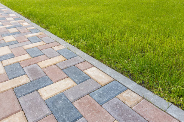 Best Driveway Paving Contractor  in Waterloo, NE